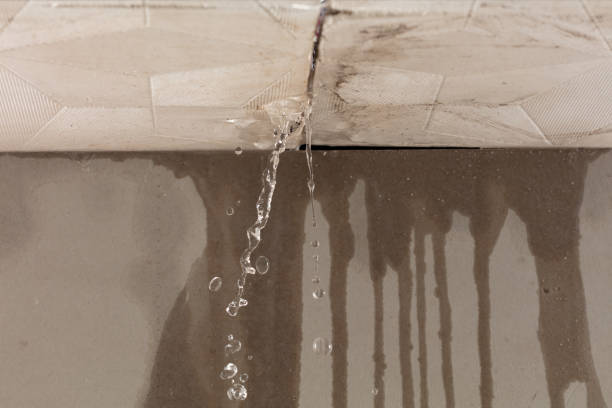 Professional Structural Drying technician working in Pond Gap, WV